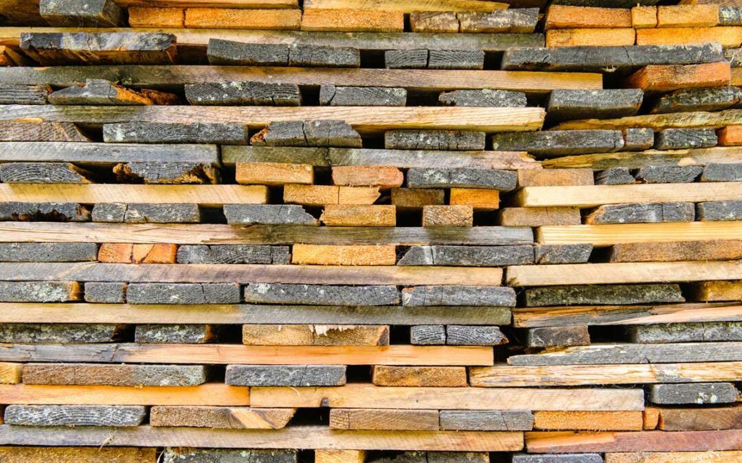 Bois local : usages et caractéristiques des essences bretonnes